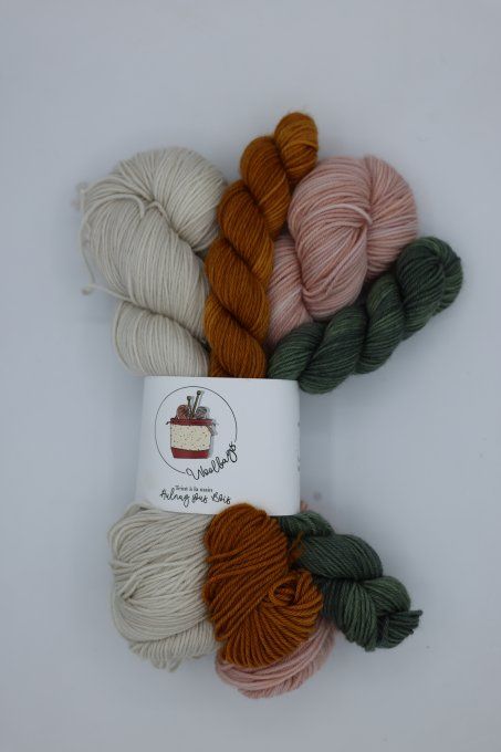 Kit sock - Crunching Carrots