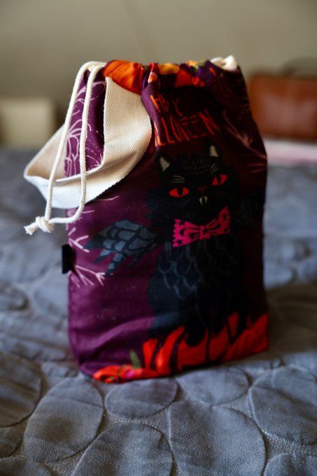 L’Indémodable - Chat ailés