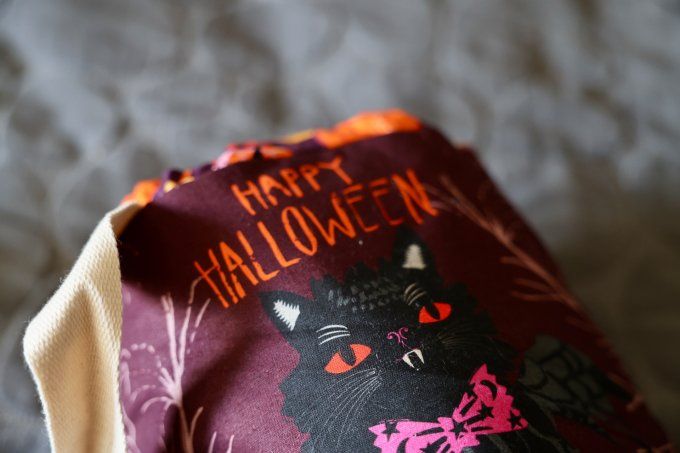 L’Indémodable - Chat ailés