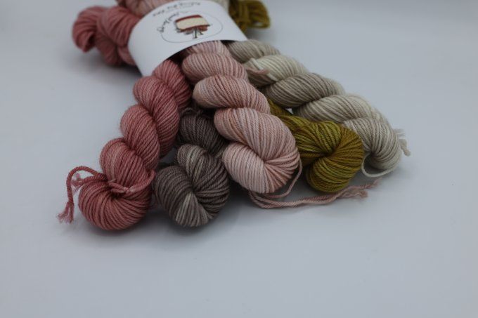 Bouquet de minis - Harvest Spring