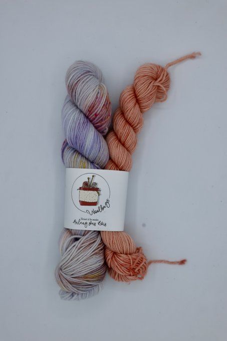 Kit sock 50 - Champs de fleurs 