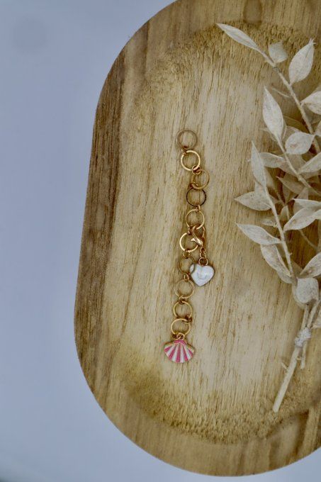 Compte-rangs - Coquillage