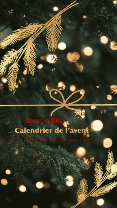 Calendrier de l'Avent - Noel 2026 (2ème édition) - A la découverte de nos coloris 